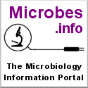 Microbes.info
